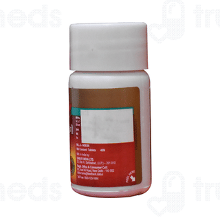 Dabur Shoolvajrini Vati 40