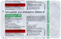 Telismart Am Tablet 15 Telismart Am Tablet 15