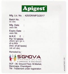 Apigest Tablet 10