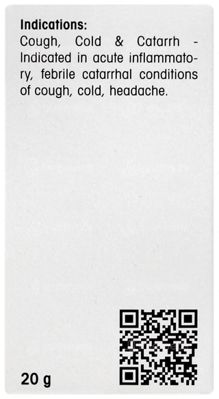 Dr Reckeweg Bc 6 Tablet 20gm