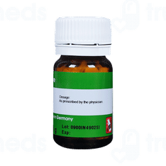 Dr Reckeweg Insulinum 10x Tablet 20gm