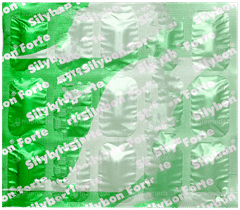 Silybon Forte Tablet 15
