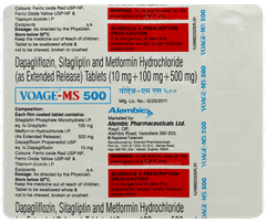 Voage Ms 500 Tablet 15 Voage Ms 500 Tablet 15