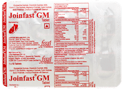 Joinfast GM Tablet 10