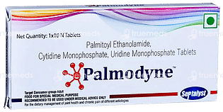 Palmodyne Tablet 10