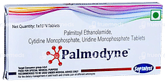 Palmodyne Tablet 10