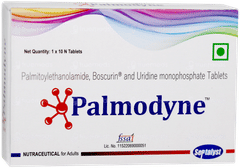 Palmodyne Tablet 10