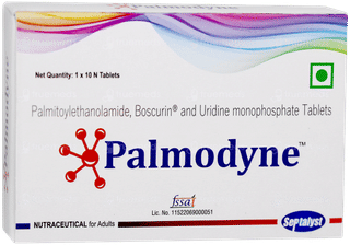 Palmodyne Tablet 10