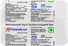 Palmodyne Tablet 10