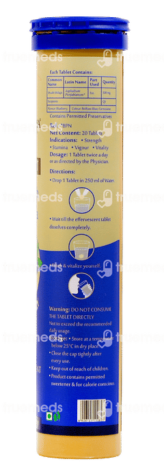 Upakarma Ayurveda Pure Shilajit Blueberry Effervescent Tablet 20