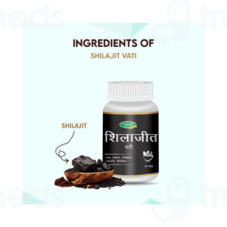 Swadeshi Shilajeet Vati Tablet 60