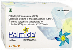 Palmida Tablet 10