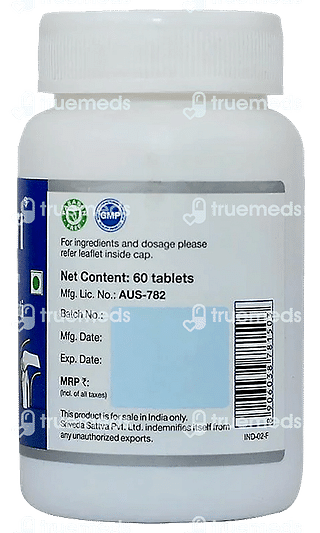 Sri Sri Tattva Sandhimitra Vati 500 MG Tablet 60