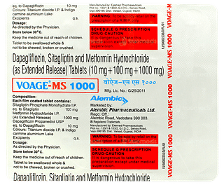 Voage Ms 1000 Tablet 15