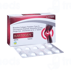 Kartogem Tablet 10