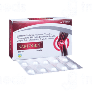 Kartogem Tablet 10