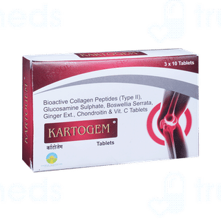 Kartogem Tablet 10