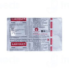 Kartogem Tablet 10