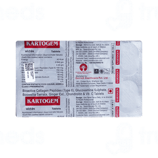 Kartogem Tablet 10