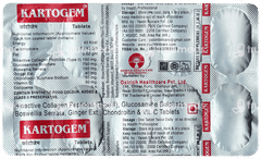 Kartogem Tablet 10