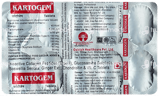 Kartogem Tablet 10