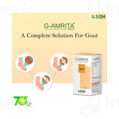 Sdh Naturals G Amrita Tablet 60
