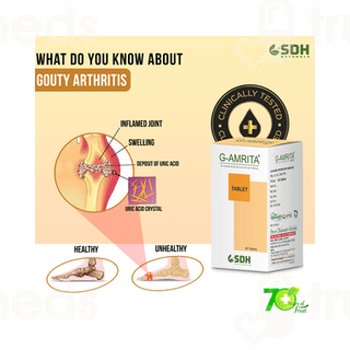 Sdh Naturals G Amrita Tablet 60