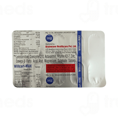 Willcart Max Tablet 10