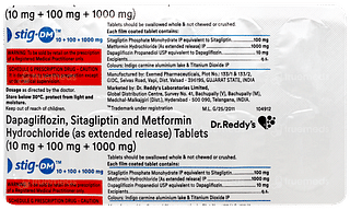 Stig Dm 10/100/1000mg Tablet 10