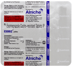 Esobiz Tablet 15