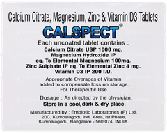 Calspect Tablet 10