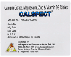 Calspect Tablet 10