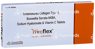 Wonflex Tablet 10