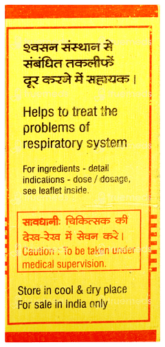 Baidyanath Swas Chintamani Ras Vrihat Tablet 25