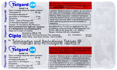 Telgard Am Tablet 10 Telgard Am Tablet 10