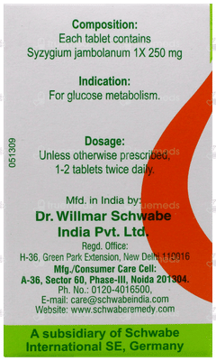 Dr Willmar Schwabe Syzygium Jambolanum 1X Mt Tablet 20Gm