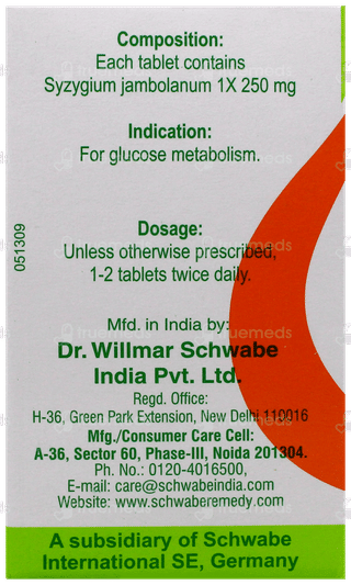 Dr Willmar Schwabe Syzygium Jambolanum 1X Mt Tablet 20Gm