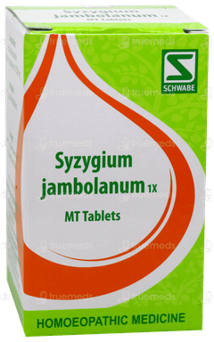 Dr Willmar Schwabe Syzygium Jambolanum 1X Mt Tablet 20Gm