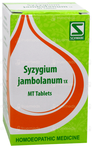 Dr Willmar Schwabe Syzygium Jambolanum 1X Mt Tablet 20Gm