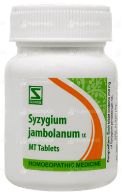 Dr Willmar Schwabe Syzygium Jambolanum 1X Mt Tablet 20Gm