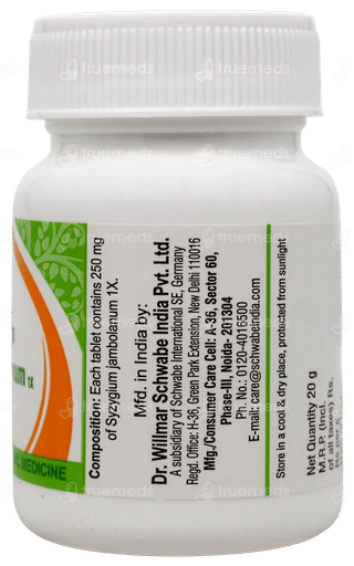 Dr Willmar Schwabe Syzygium Jambolanum 1X Mt Tablet 20Gm