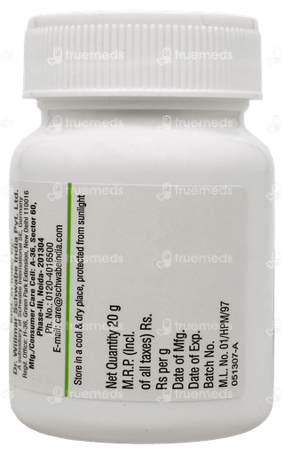 Dr Willmar Schwabe Syzygium Jambolanum 1X Mt Tablet 20Gm