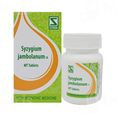 Dr Willmar Schwabe Syzygium Jambolanum 1x Mt Tablet 20gm