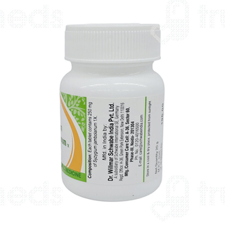 Dr Willmar Schwabe Syzygium Jambolanum 1x Mt Tablet 20gm