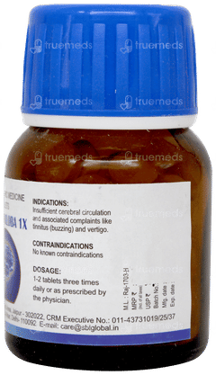 Sbl Ginkgo Biloba 1x Tablet 25 GM