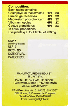 Sbl Dysmin Tablet 25gm Sbl Dysmin Tablet 25gm