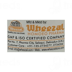 Wheezal Mel X Tablet 75