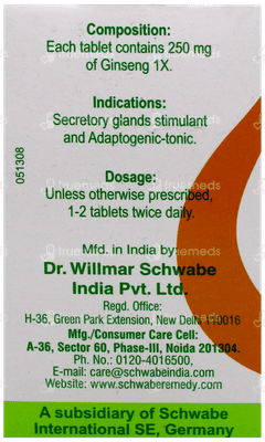 Dr Willmar Schwabe Ginseng 1X Mt Tablet 20Gm