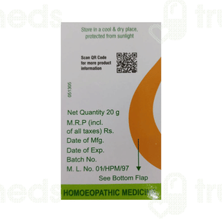 Dr Willmar Schwabe Ginseng 1x Mt Tablet 20gm