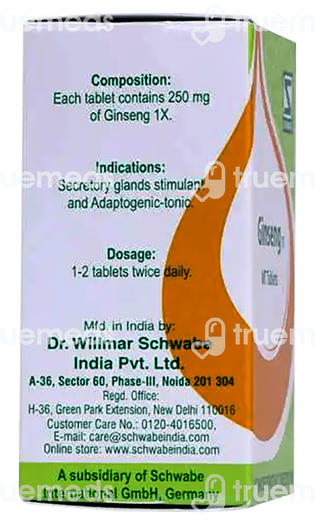 Dr Willmar Schwabe India Ginseng 1x Mt Tablet 20 GM